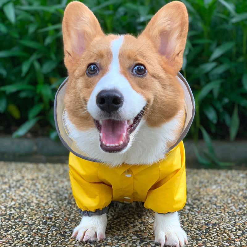 Keep Your Pets Dry and Stylish: Discover the Four Legged Waterproof Pet Clothing