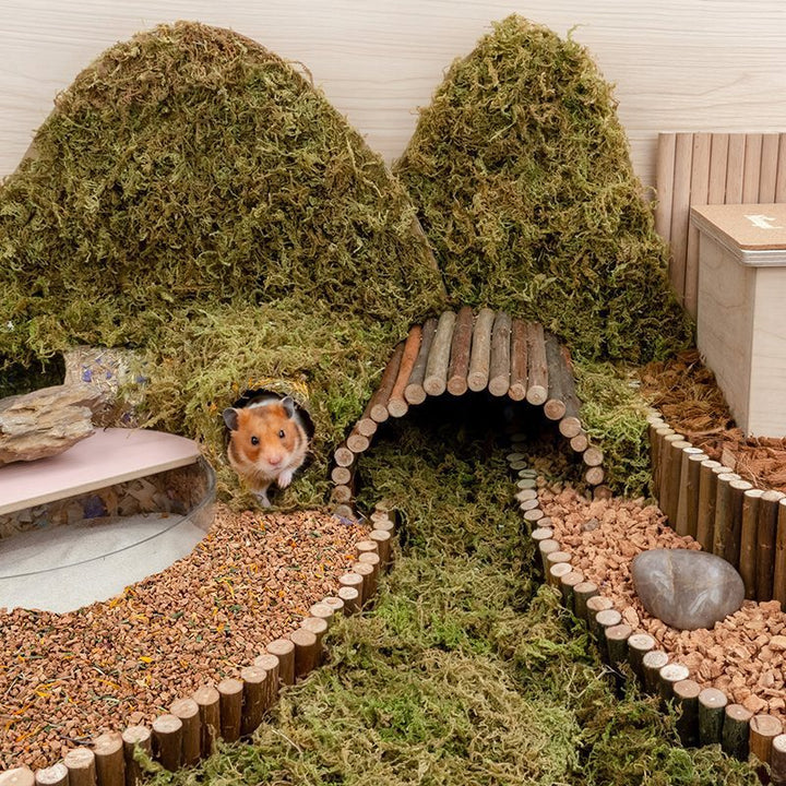Oak Cork Hamster Digging Supplies