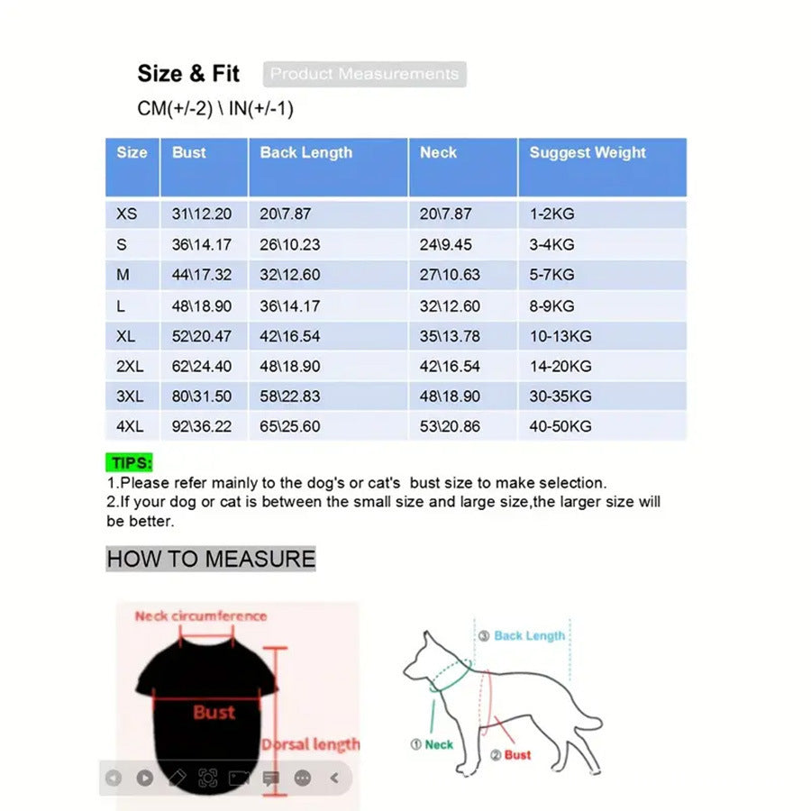 Golden Retriever Big Dog Pet Raincoat