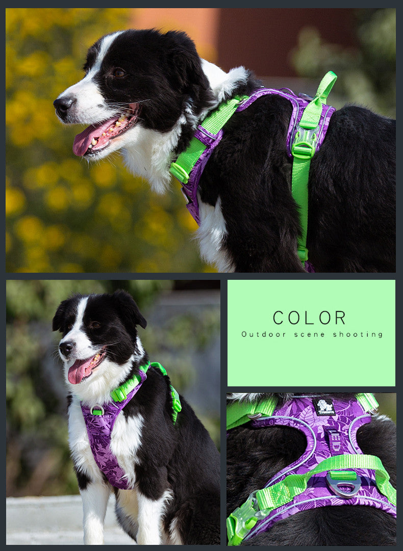 Dog leashes vest straps