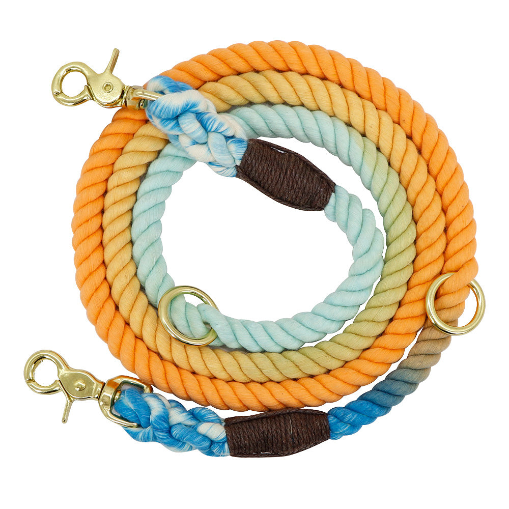 Gradient Color Dog Leashes