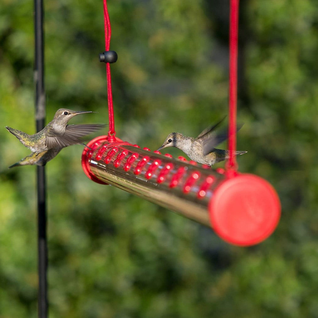 Hanging Long Tube Hummingbird Bird Feeder