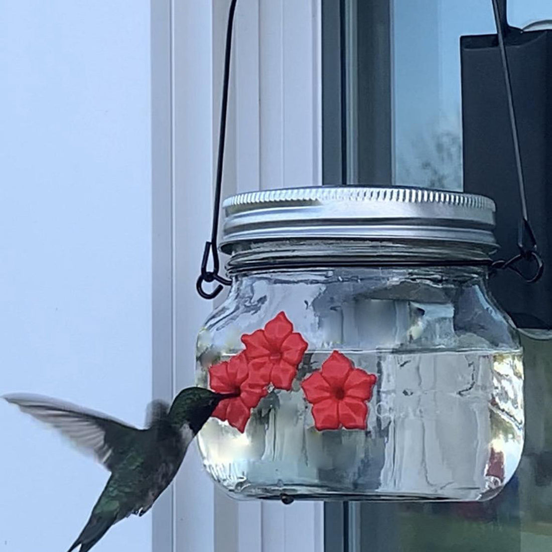 Hummingbird Plastic Flower Bird Feeder