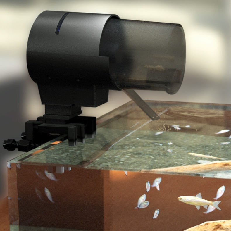Intelligent Automatic Fish Feeder