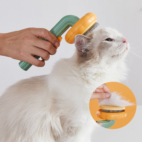 Pet Pumpkin Brush Grooming Brush