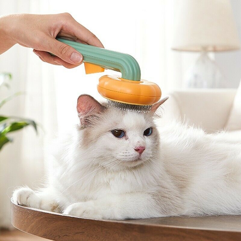 Pet Pumpkin Brush Grooming Brush