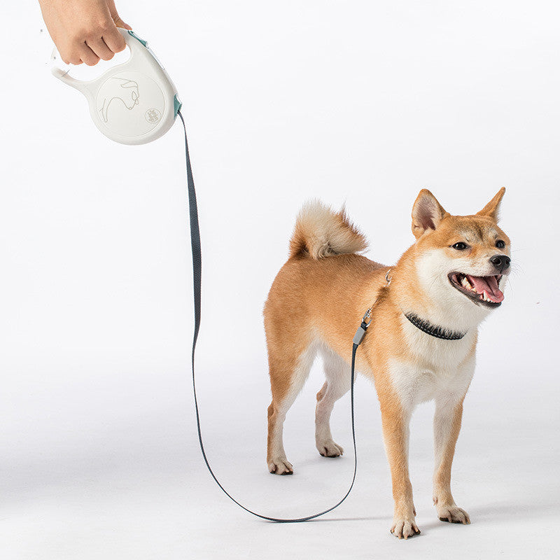 Pet Retractable Leash For Dogs