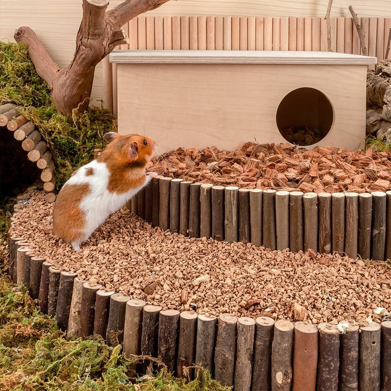 Oak Cork Hamster Digging Supplies