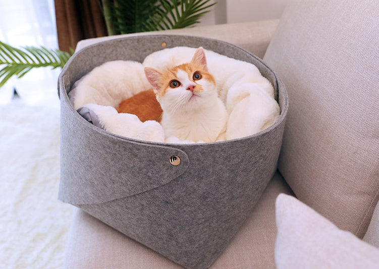 Comfortable kitten puppy pet bed
