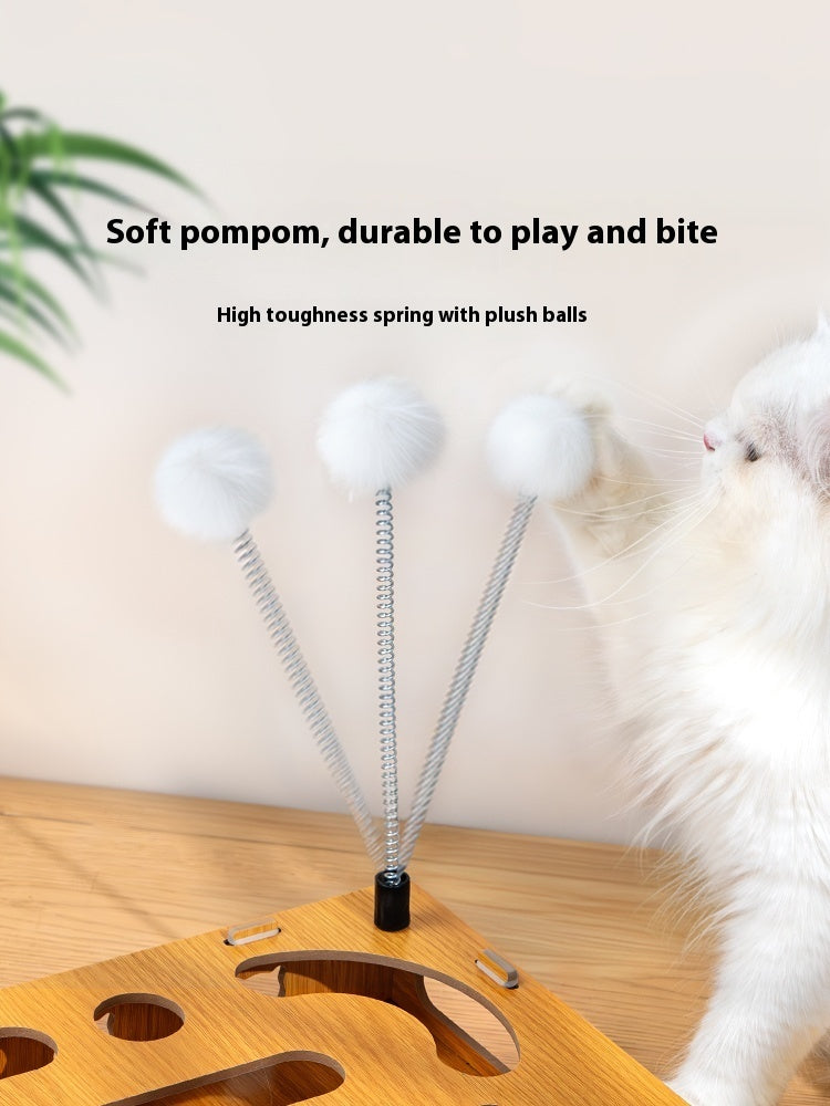 Cat Teasing Stick Box Supplies