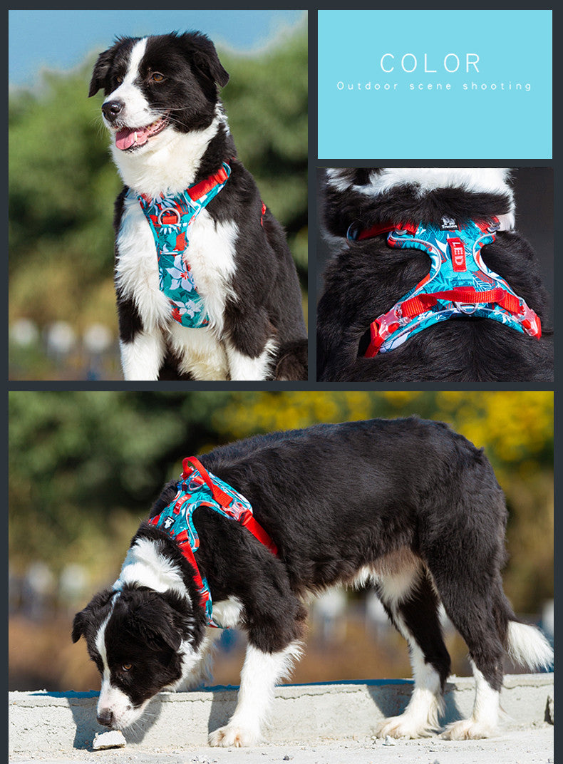 Dog leashes vest straps