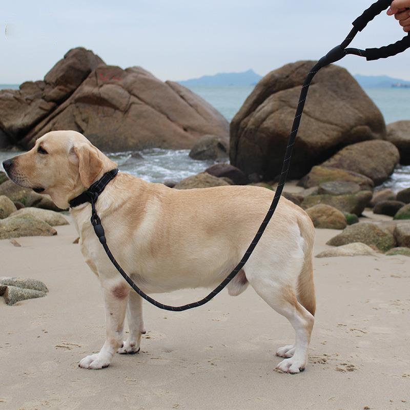 Pure Color Explosion-Proof Pet Leash