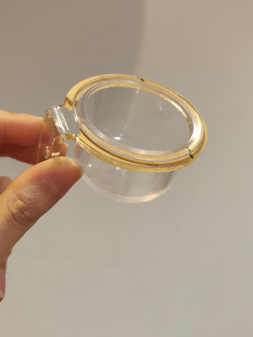 Full Transparent Bird Cage Acrylic Parrot