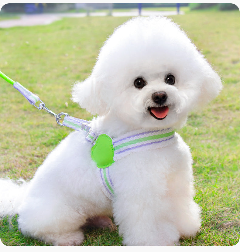 Dog Leash Summer Breathable Leash