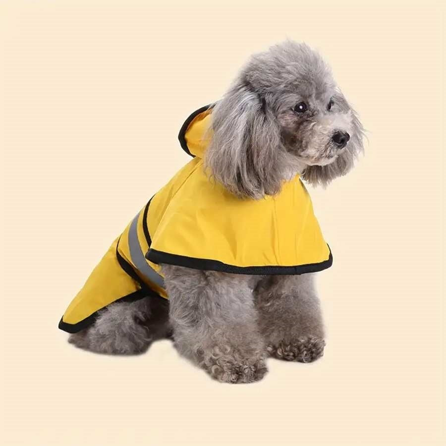 Golden Retriever Big Dog Pet Raincoat