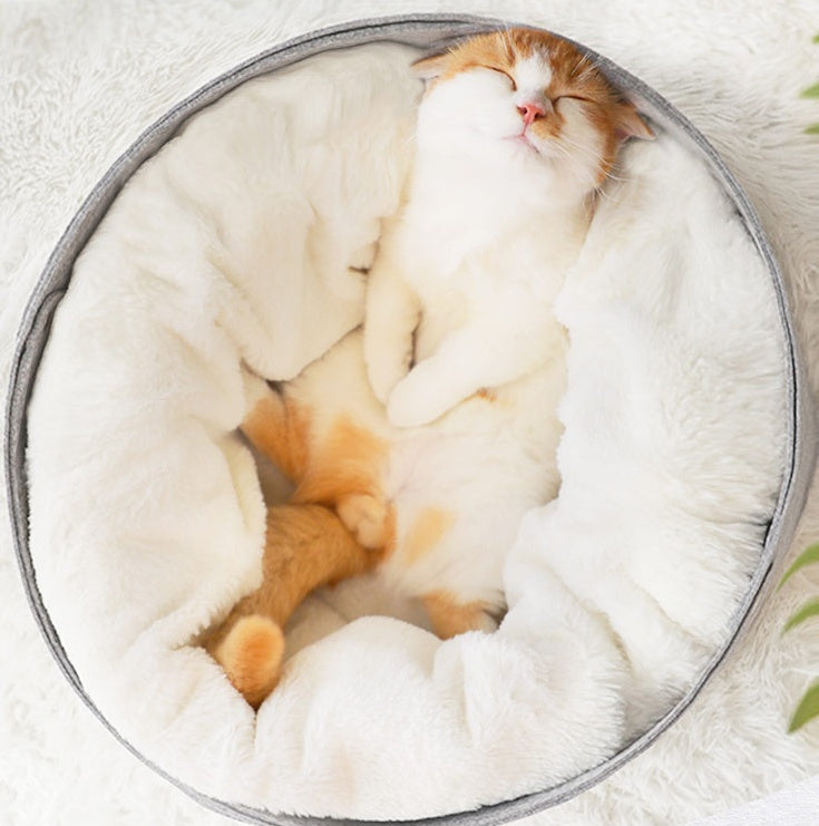 Comfortable kitten puppy pet bed