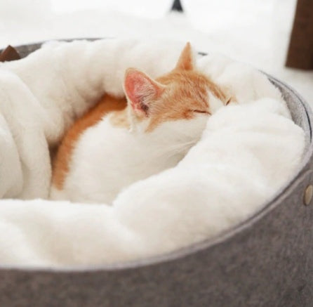 Comfortable kitten puppy pet bed