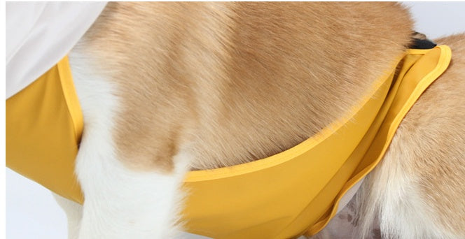 Pet Poncho With Bellyband