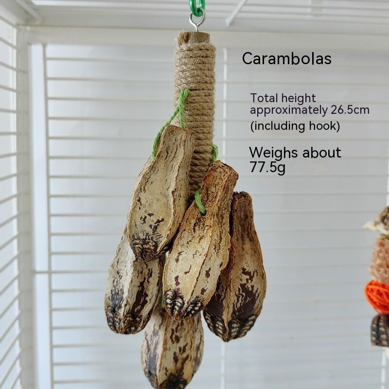 Parrot Toys Stand Rod Bird Cage