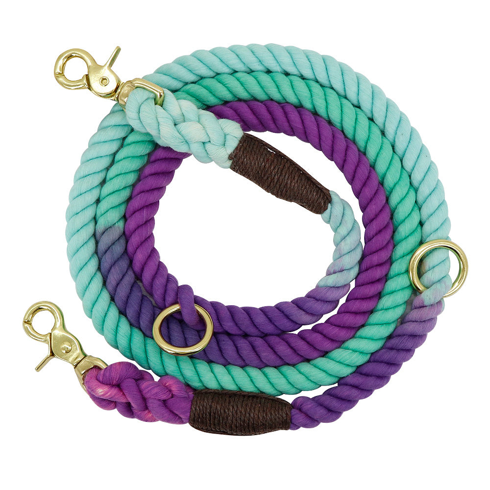 Gradient Color Dog Leashes