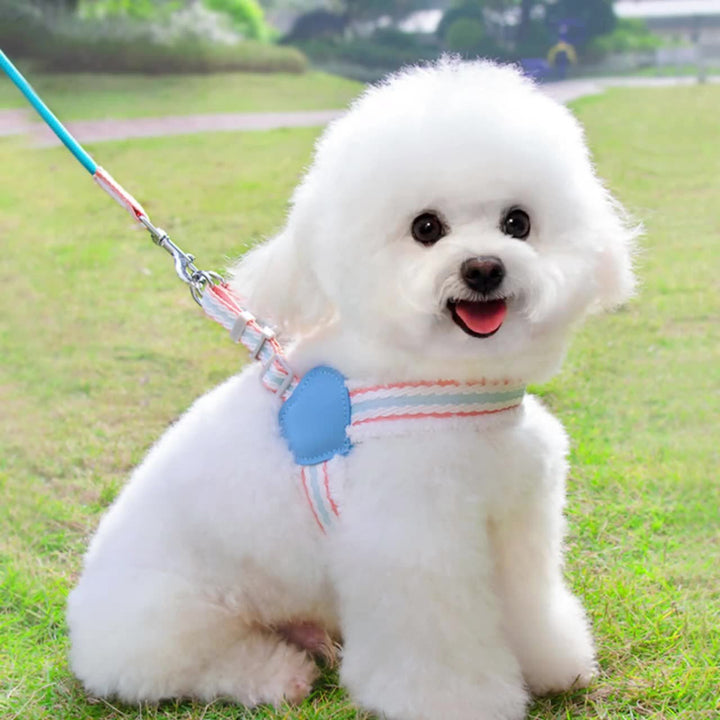 Dog Leash Summer Breathable Leash