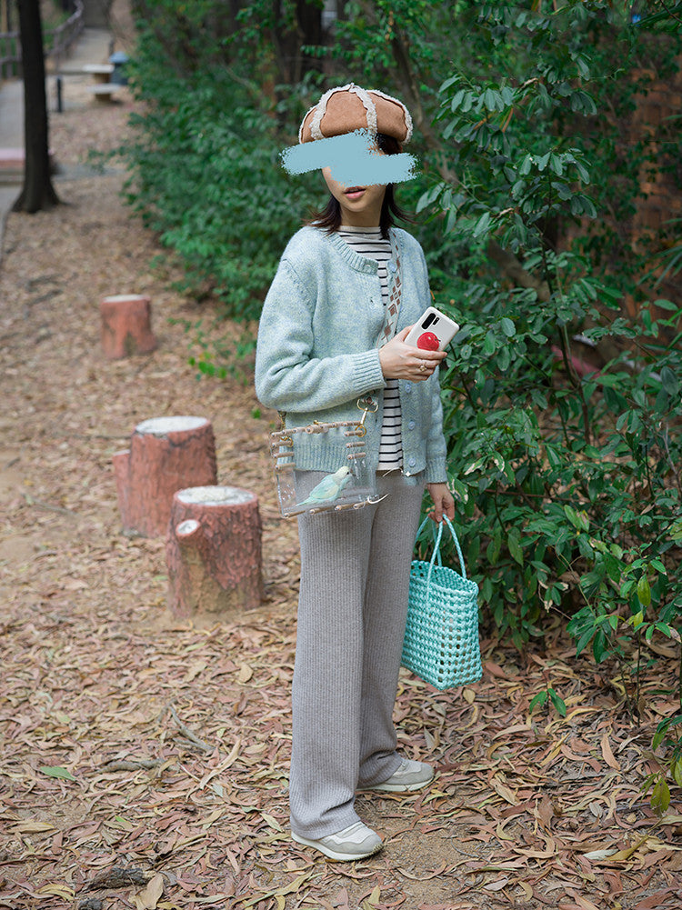 Full Transparent Bird Cage Acrylic Parrot