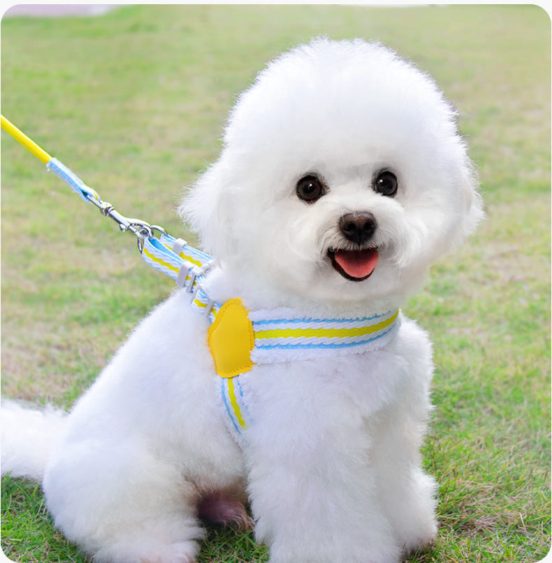Dog Leash Summer Breathable Leash