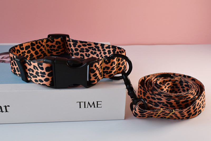 Outdoor Dog Walking Dog Leash