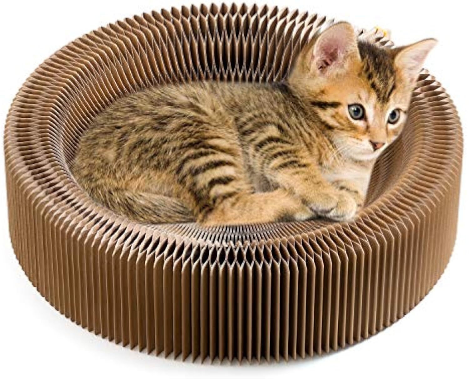 Collapsible Cat Scratcher Lounge Bed