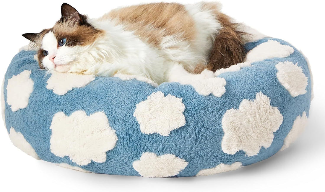 Lesiure Cat Beds For Indoor Cats
