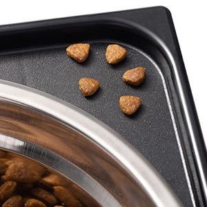 Pet Lifting Feeding Bowl Neck Protection