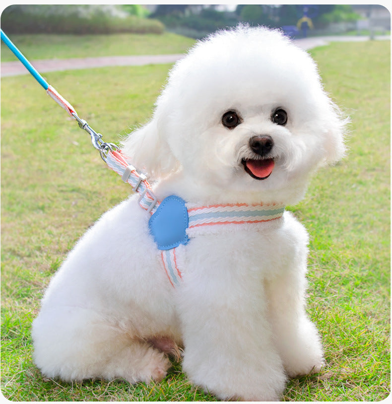 Dog Leash Summer Breathable Leash