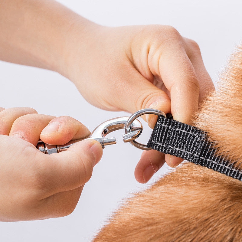 Pet Retractable Leash For Dogs