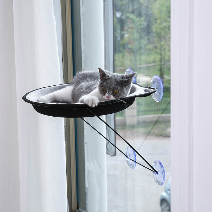 Sucker Window Pet Bed