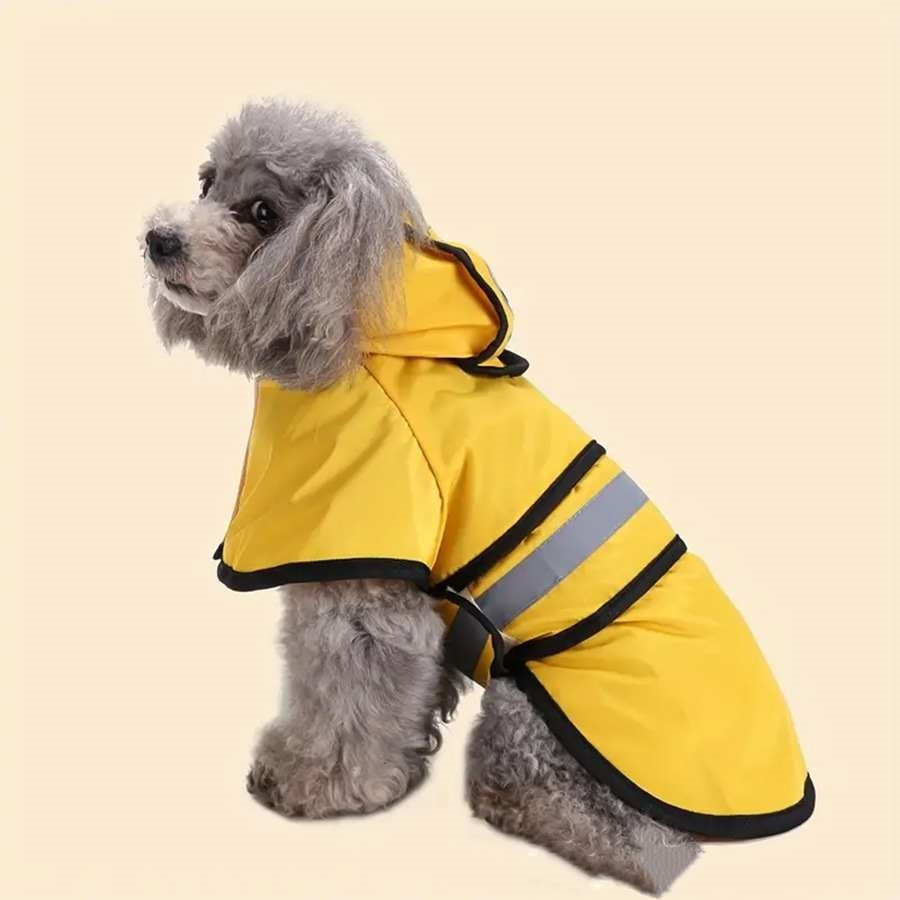 Golden Retriever Big Dog Pet Raincoat