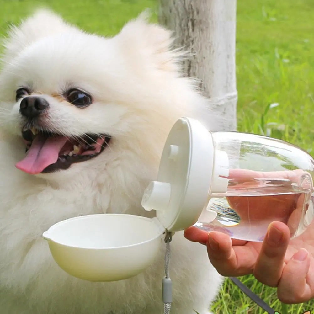 Portable Pet Water Bottle Outdoor