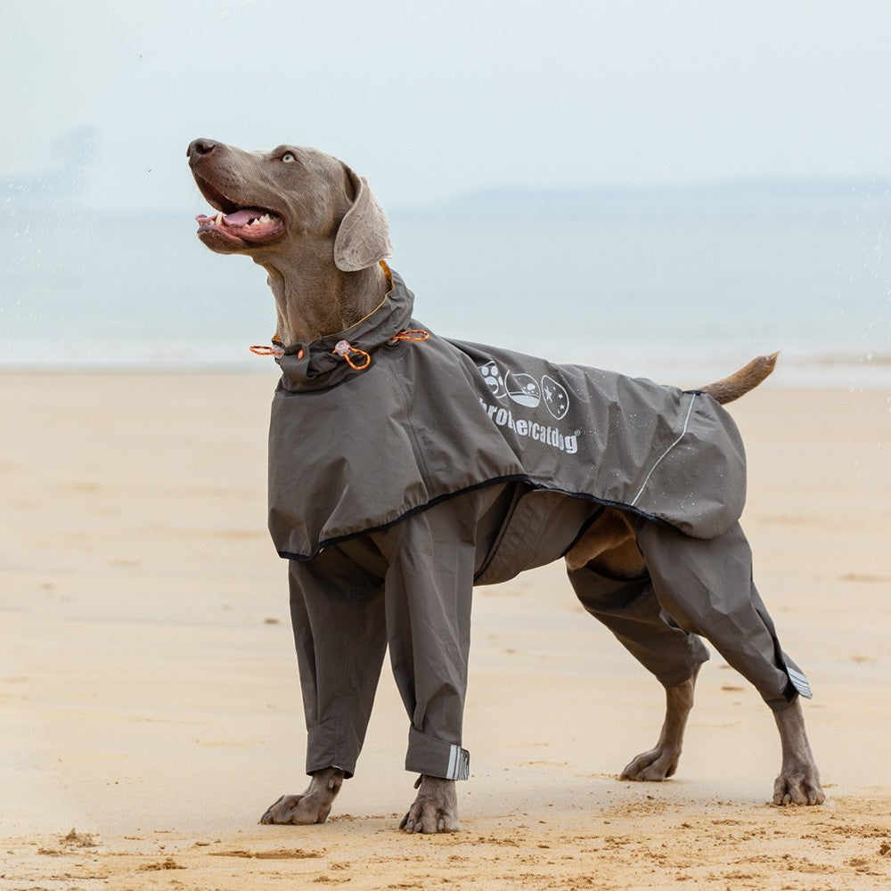 Pet Four-legged Raincoat